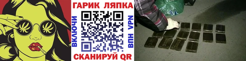 ГАШ Изолятор  Купить где  Каменногорск 