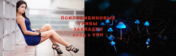 трава Медногорск