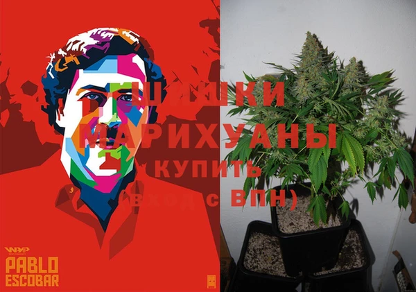 трава Медногорск