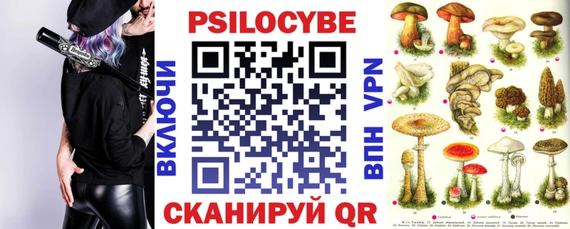 Купить  Каменногорск  Псилоцибиновые грибы прущие грибы 